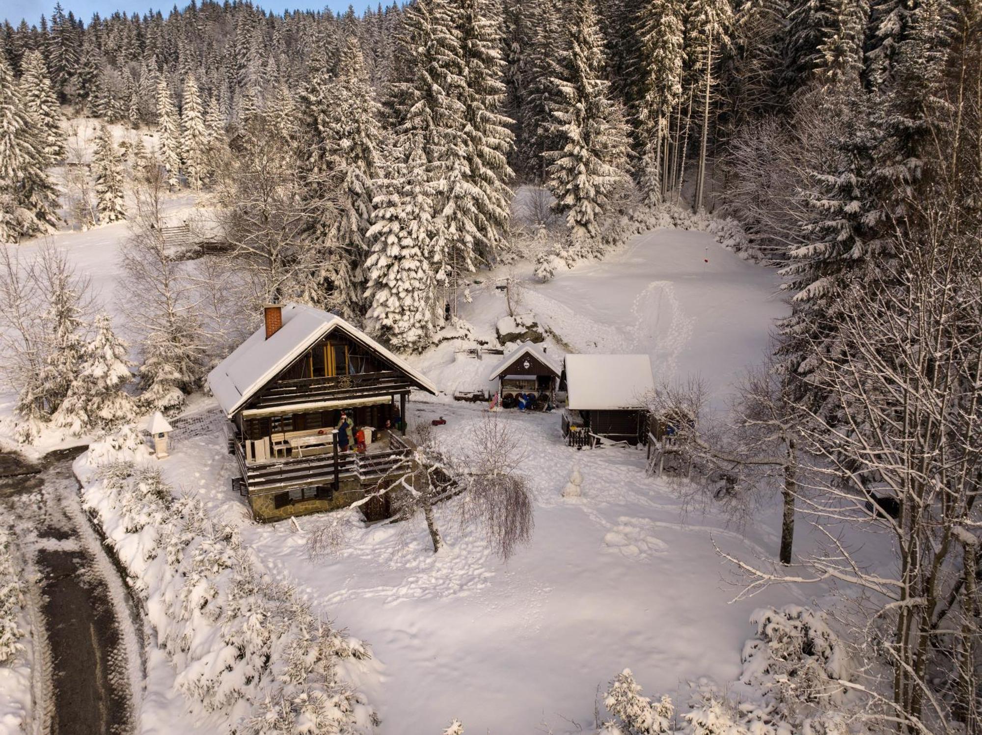 Dwarfs Cabin Overlooking Julian Alps Near Bled Jesenice Exterior foto